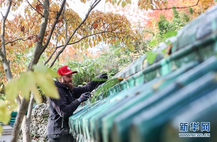 (国际·图文互动)(1)通讯:守护鲁尔河畔中国园林的德国志愿者