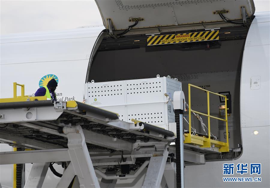 （国际）（6）旅美大熊猫&ldquo;贝贝&rdquo;启程回国