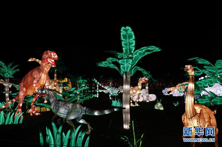 （國際）（2）第二屆紐約花燈遊園會開幕