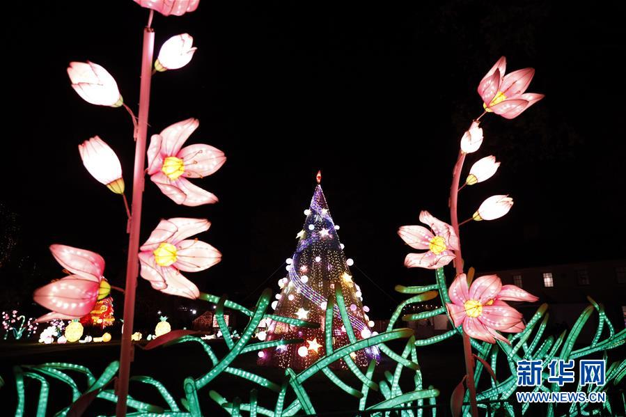 （國際）（4）第二屆紐約花燈遊園會開幕