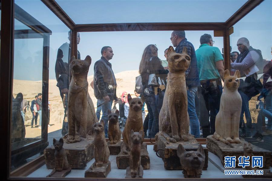 (国际)(1)埃及塞加拉发现数十具距今约2700年的动物木乃伊
