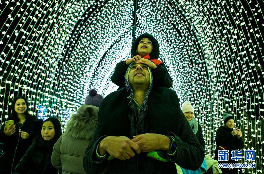 （国际）（1）芝加哥举办节日灯光秀