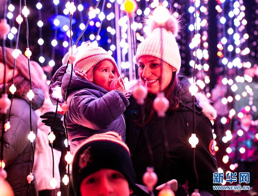 （国际）（3）芝加哥举办节日灯光秀