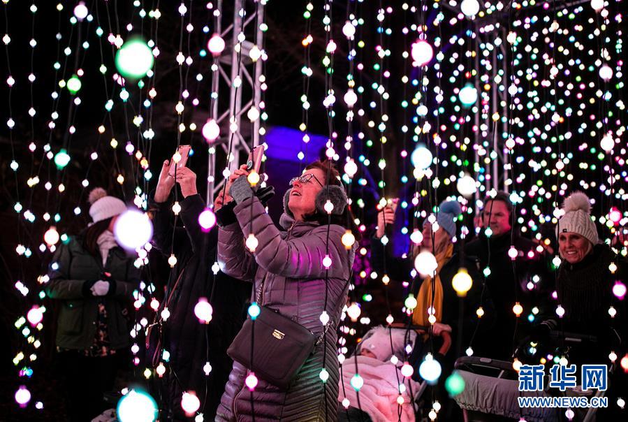 （国际）（4）芝加哥举办节日灯光秀