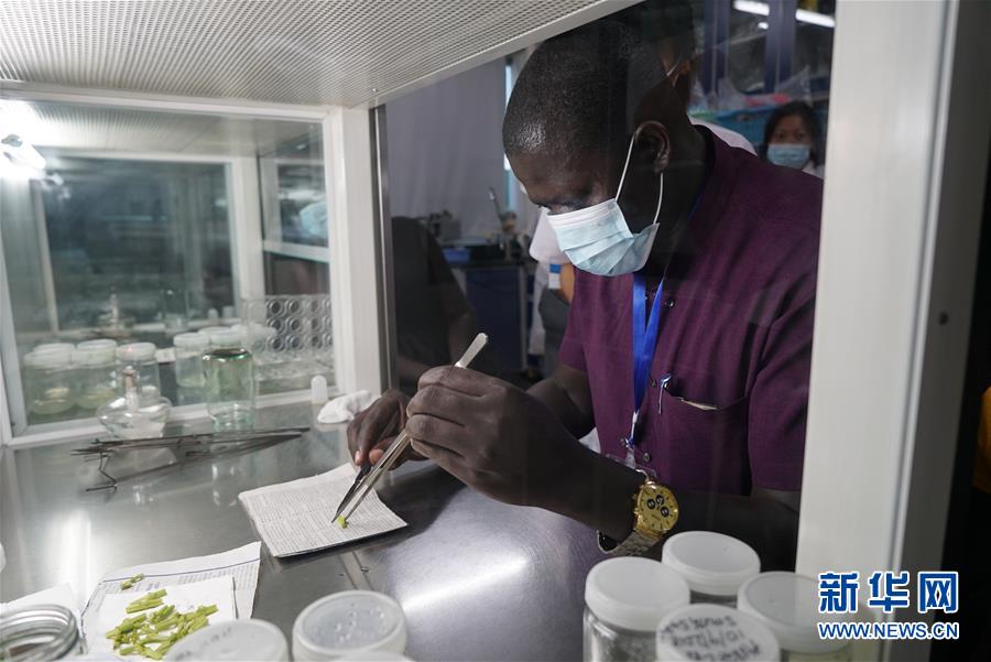 (在习近平新时代中国特色社会主义思想指引下——新时代新作为新篇章·总书记关切开放事·图文互动)(8)来中国“学种地”的“洋学生”