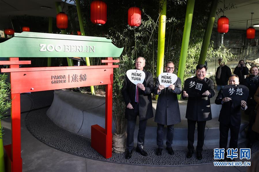 （国际）（6）在德出生大熊猫双胞胎命名为“梦想”“梦圆”
