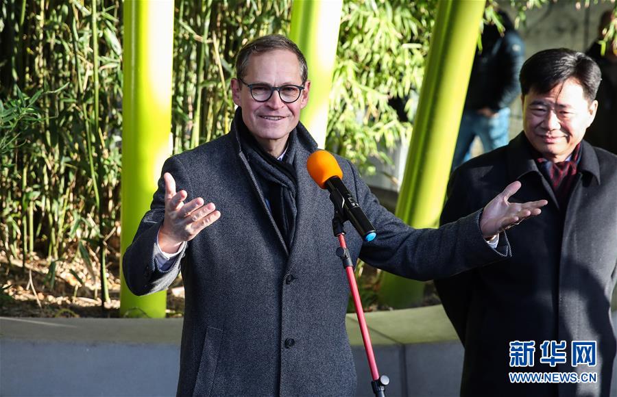 （国际）（9）在德出生大熊猫双胞胎命名为“梦想”“梦圆”