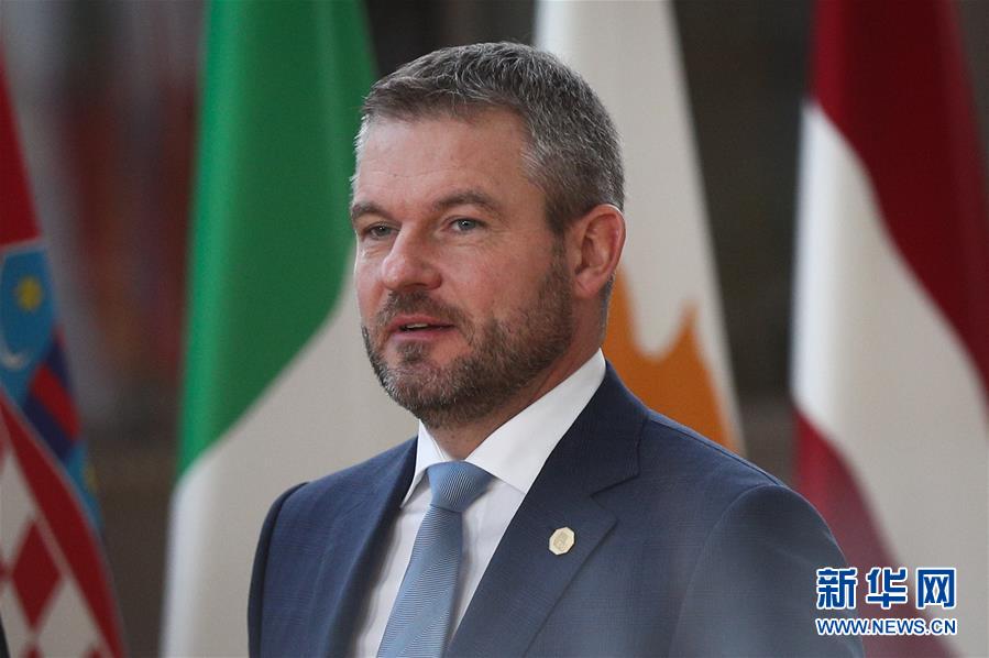 （国际）（28）欧盟冬季峰会在比利时布鲁塞尔举行