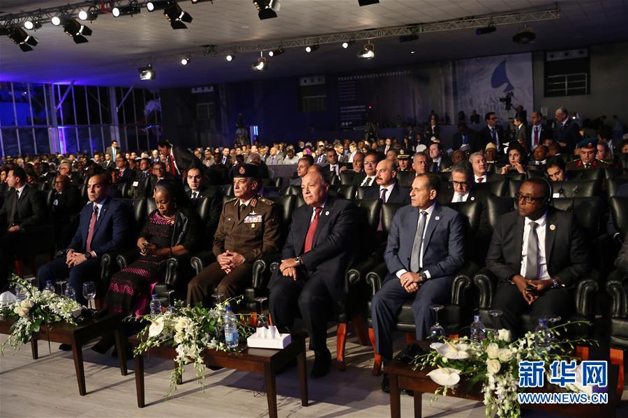 （国际）（2）非洲多国领导人呼吁消除外部势力干预 全力打击恐怖主义
