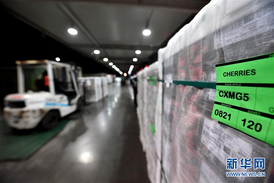 （图文互动）（8）中国消费的&ldquo;车厘子需求&rdquo;，智利果农的&ldquo;好日子盼头&rdquo;&mdash;&mdash;新华社记者追踪车厘子产业链