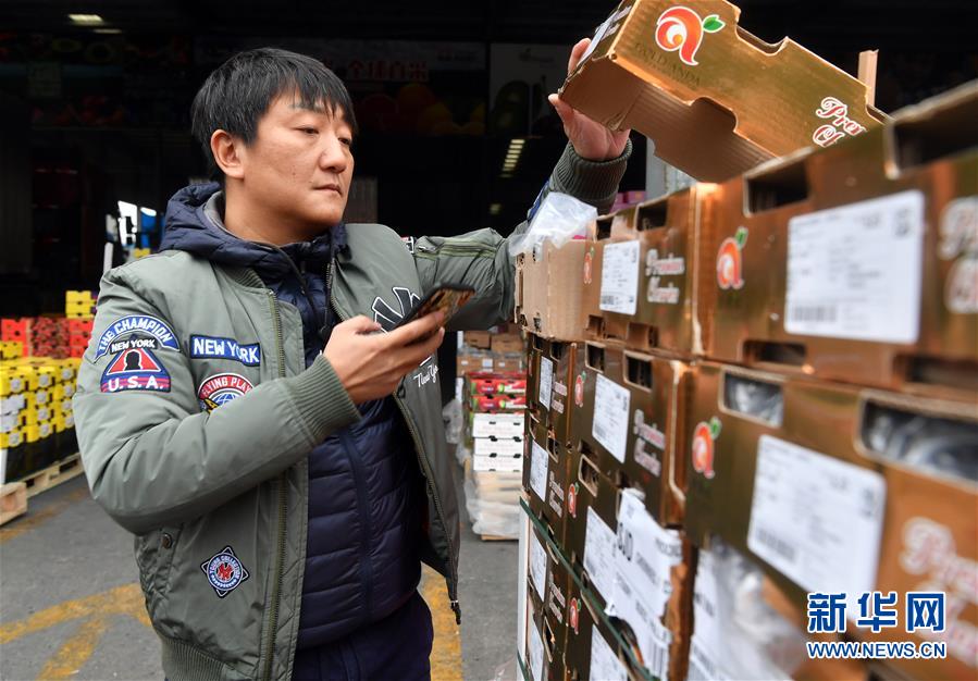 （图文互动）（10）中国消费的&ldquo;车厘子需求&rdquo;，智利果农的&ldquo;好日子盼头&rdquo;&mdash;&mdash;新华社记者追踪车厘子产业链