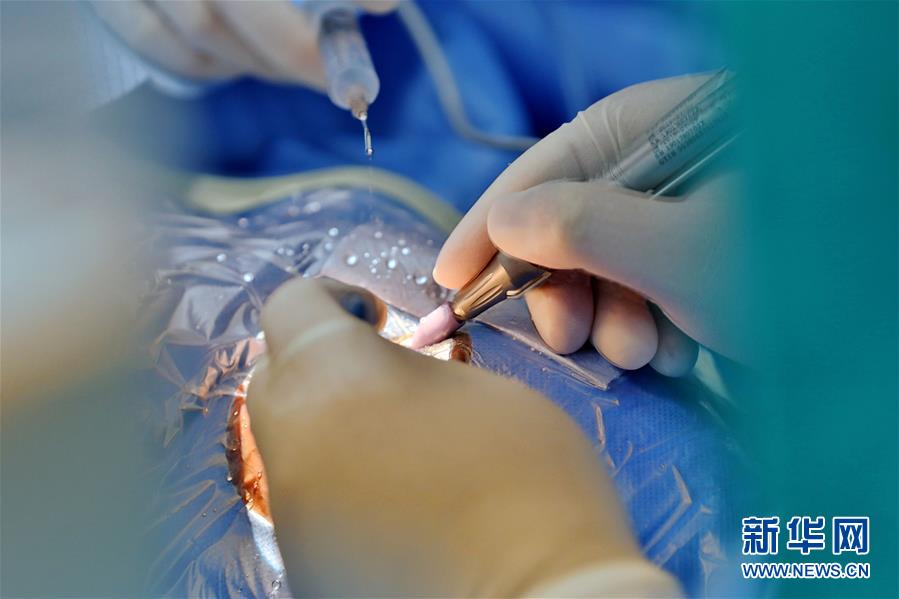 （国际·图文互动）（8）通讯：给更多人带来光明——记中国驻吉布提保障基地“光明行动”专项医疗服务活动