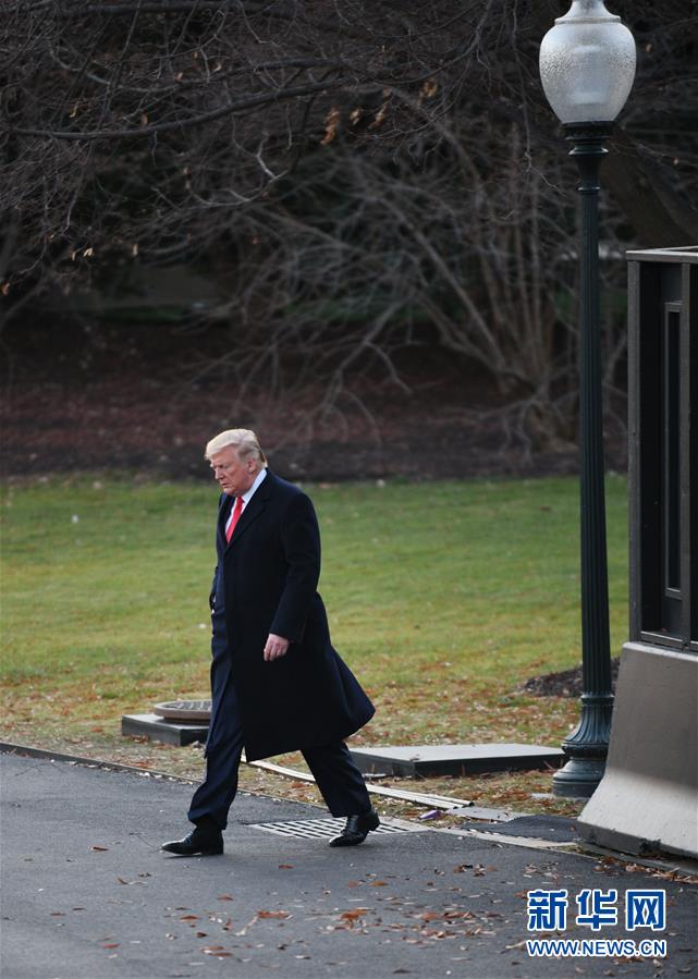 （国际）（2）美国国会众议院表决通过第一项针对总统特朗普的弹劾条款