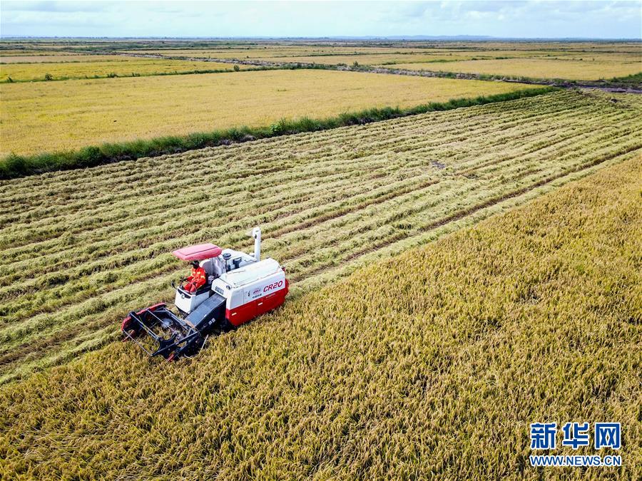 （国际）（1）中国农业技术帮助莫桑比克改善粮食问题