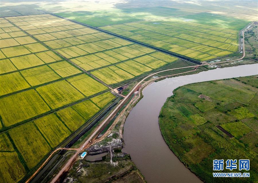 （国际）（2）中国农业技术帮助莫桑比克改善粮食问题