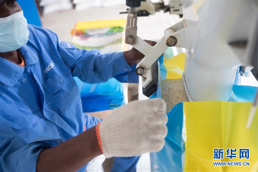 （国际）（4）中国农业技术帮助莫桑比克改善粮食问题