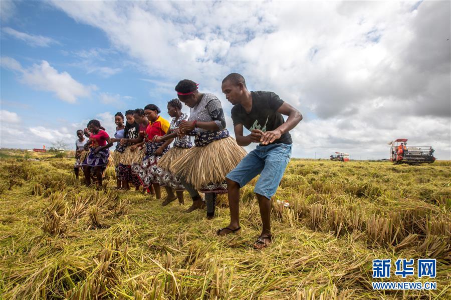 （国际）（10）中国农业技术帮助莫桑比克改善粮食问题