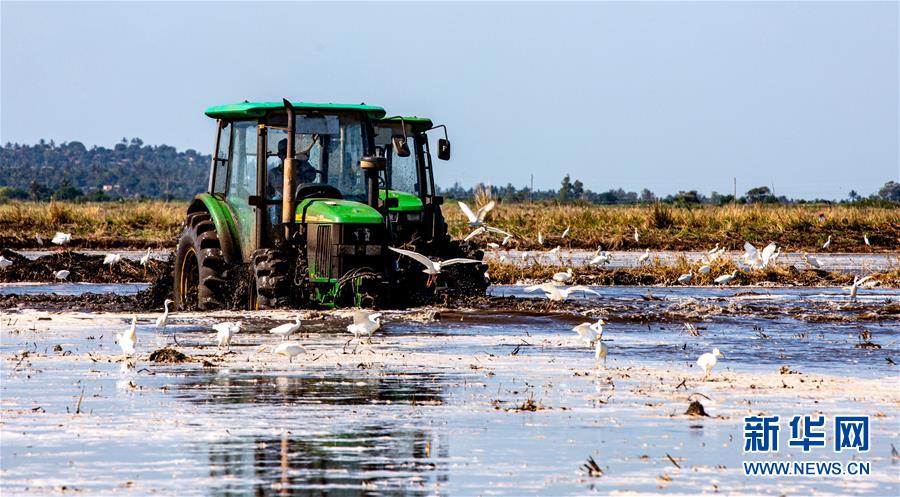 （国际）（19）中国农业技术帮助莫桑比克改善粮食问题