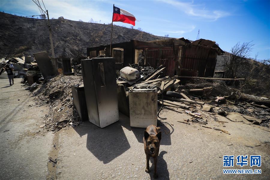 (国际·图文互动)(1)智利瓦尔帕莱索森林大火殃及200多所房屋