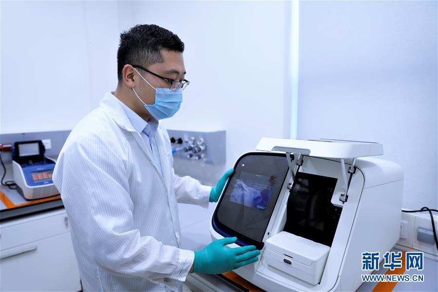 （国际&middot;年终报道）（5）2019，中国智慧 世界共享