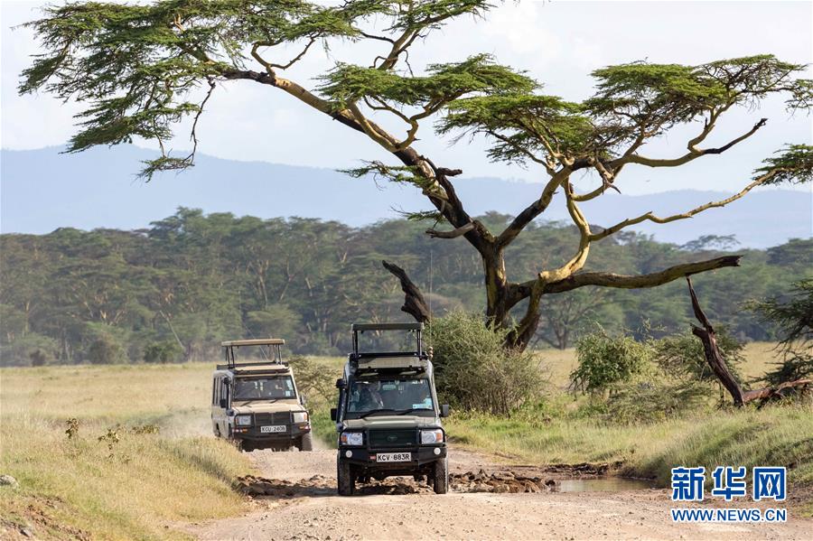 （国际）（1）肯尼亚纳库鲁国家公园假期引游人