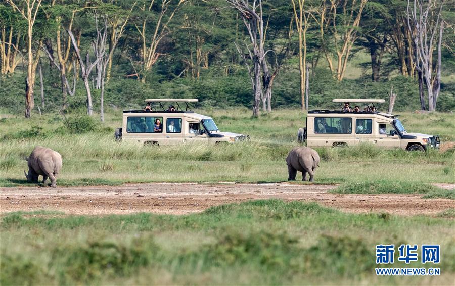 （国际）（6）肯尼亚纳库鲁国家公园假期引游人