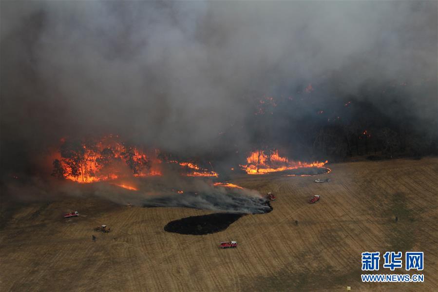 （国际&middot;图文互动）（5）综述：澳大利亚林火肆虐　将设新机构救灾