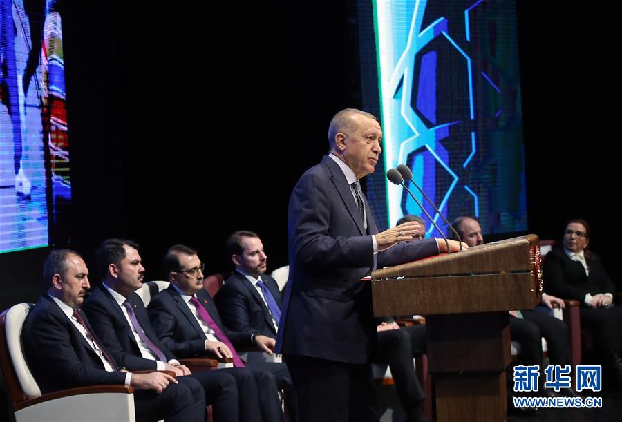 （国际）（3）土耳其总统宣布继续向利比亚派兵