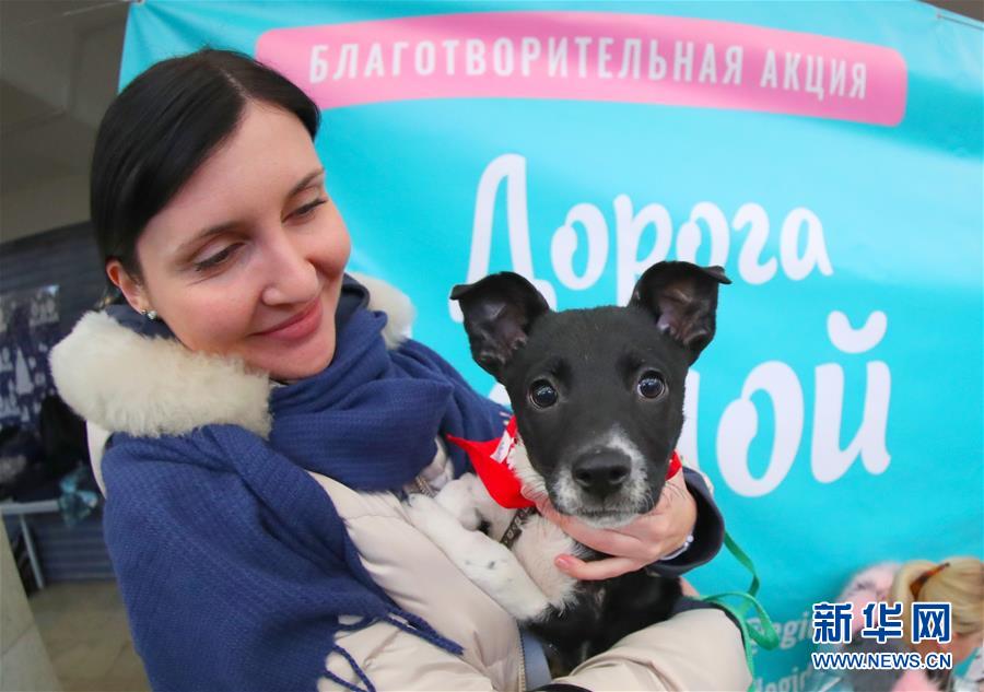 （XHDW）（1）白俄羅斯：為流浪動物尋找愛心主人