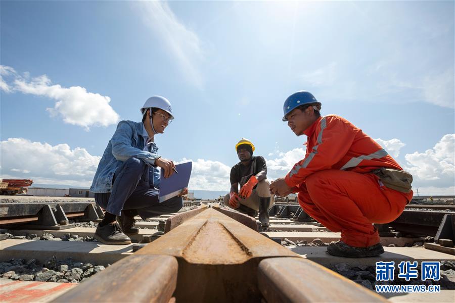 （国际·图文互动）（3）通讯：“非漂”回湘记