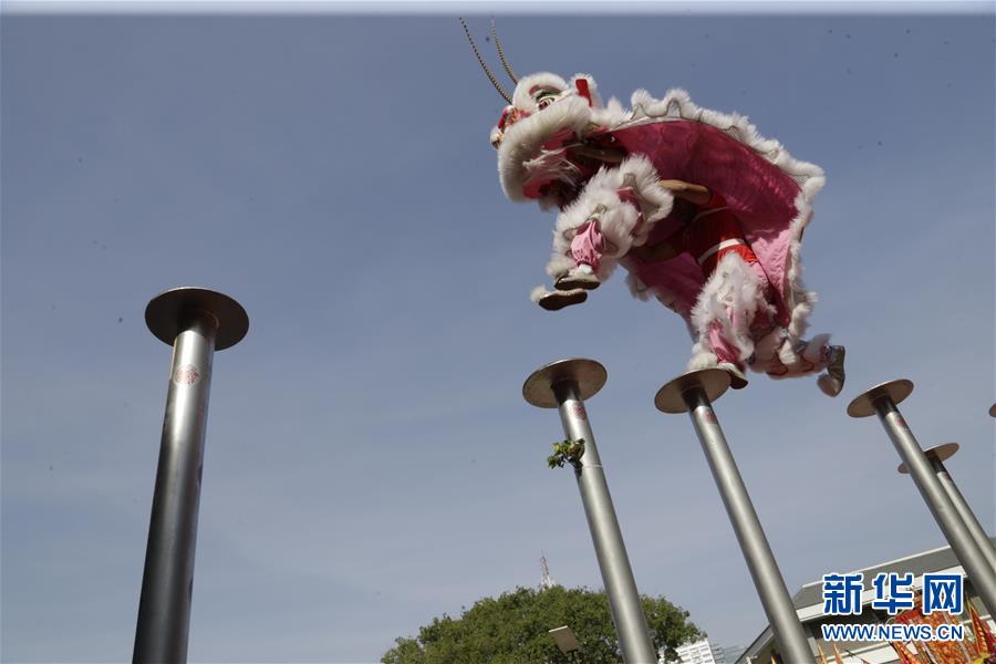 （XHDW）（1）柬埔寨：舞狮舞龙贺新年