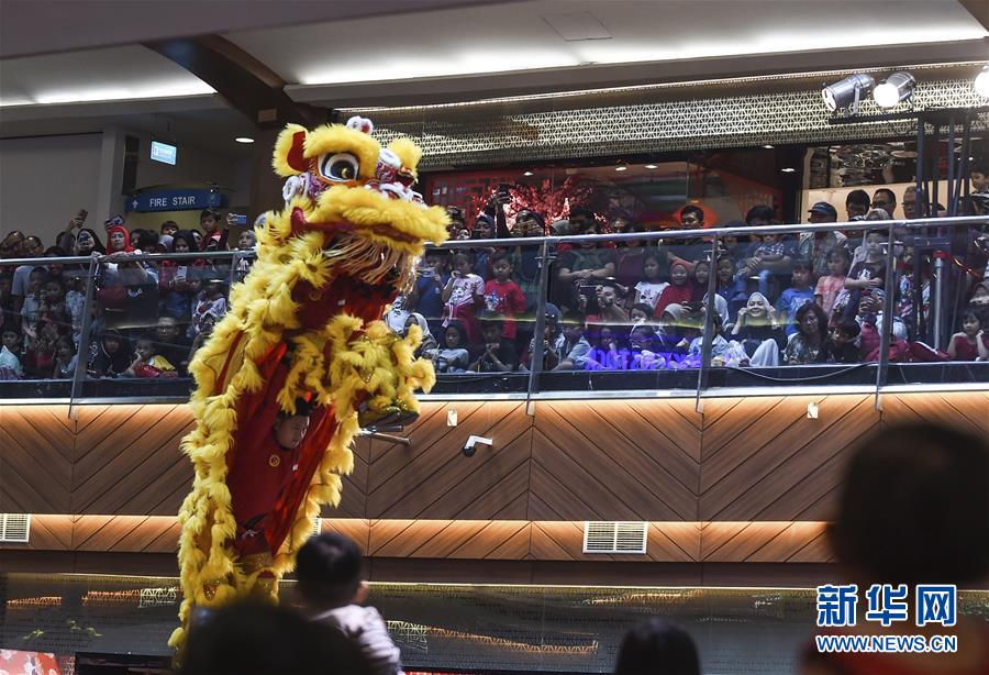 （国际）（22）世界各地迎新春