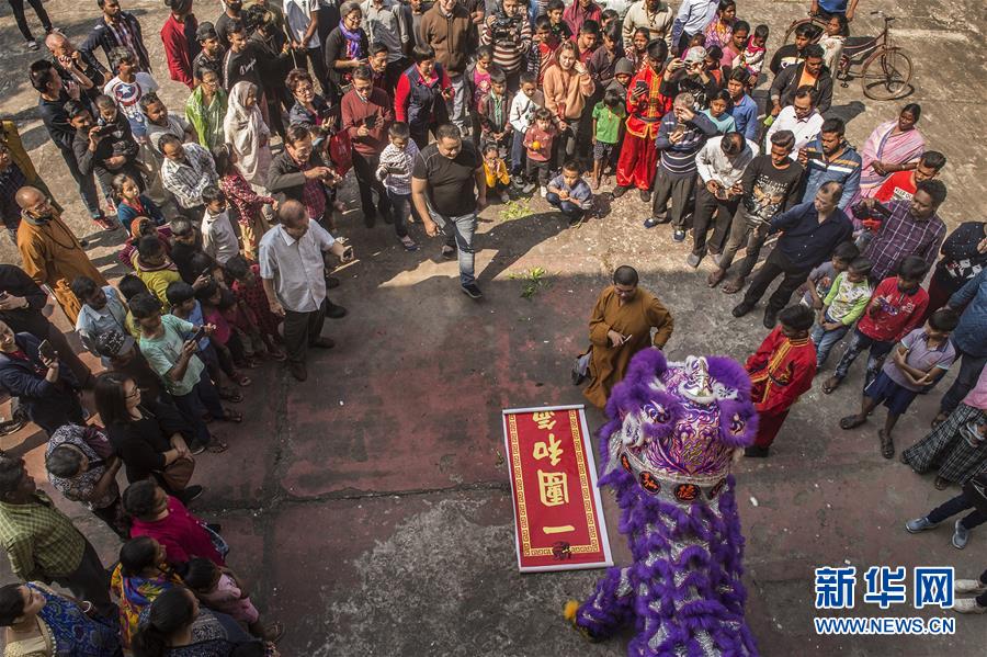 （国际）（24）世界各地迎新春