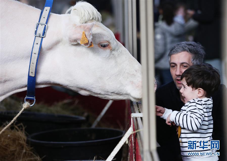 （国际）（1）第57届法国国际农业博览会开幕