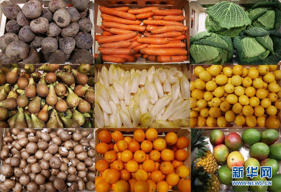 （国际）（4）第57届法国国际农业博览会开幕