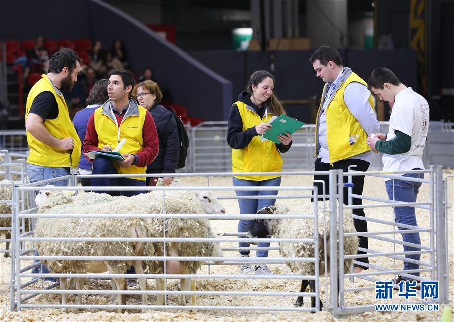 （国际）（9）第57届法国国际农业博览会开幕
