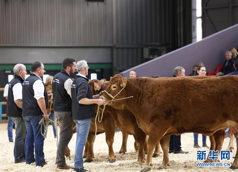 （国际）（10）第57届法国国际农业博览会开幕