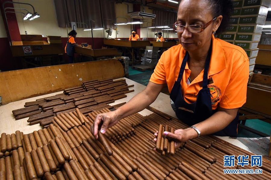 （国际&middot;图文互动）（3）古巴优质手卷雪茄诞生记&mdash;&mdash;访古巴最大雪茄厂