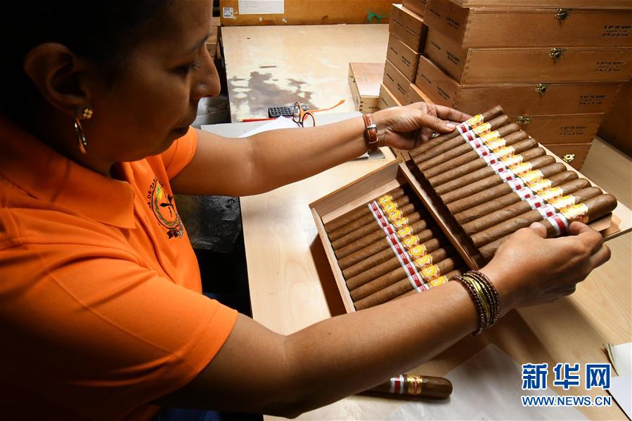 （国际&middot;图文互动）（4）古巴优质手卷雪茄诞生记&mdash;&mdash;访古巴最大雪茄厂