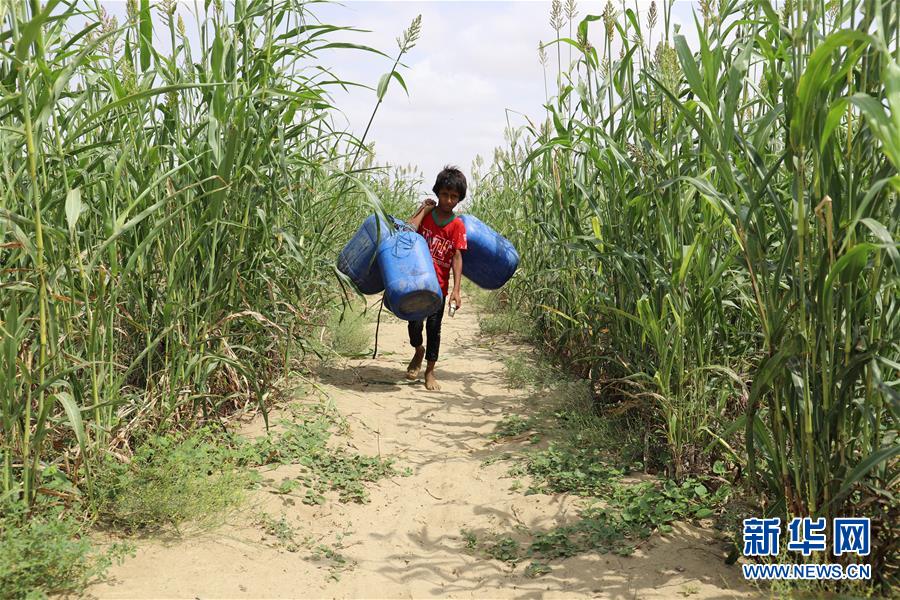 （新华视界）（2）世界水日--也门打水的儿童