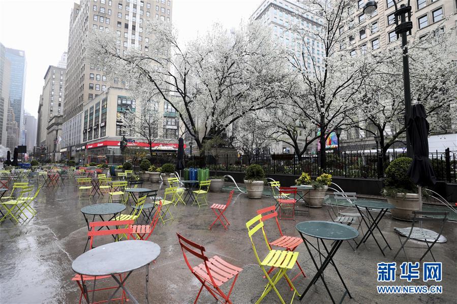 （国际疫情）（1）纽约州 &ldquo;居家令&rdquo;生效