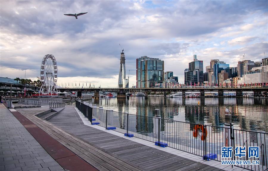 （国际疫情）（1）疫情下的悉尼