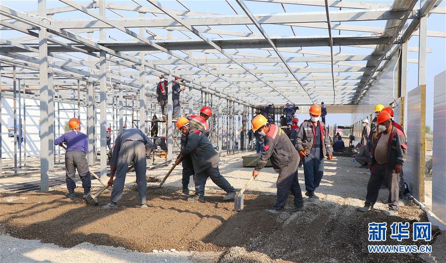 （国际疫情）（2）建设中的塔什干方舱医院