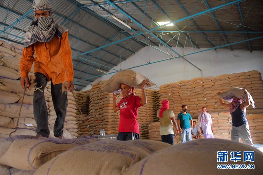 （国际疫情）（3）疫情下的印度