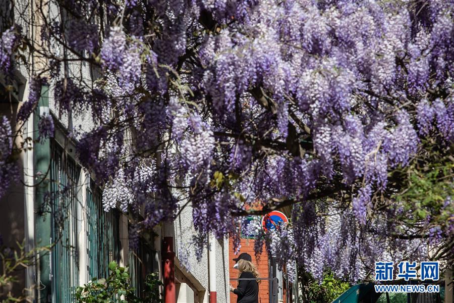 (国际疫情)(2)法国新冠患者住院人数首次出现下降