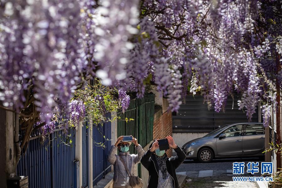 (国际疫情)(3)法国新冠患者住院人数首次出现下降