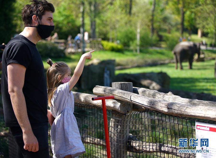 （国际疫情）（3）因疫情关闭的布拉格动物园重新开放