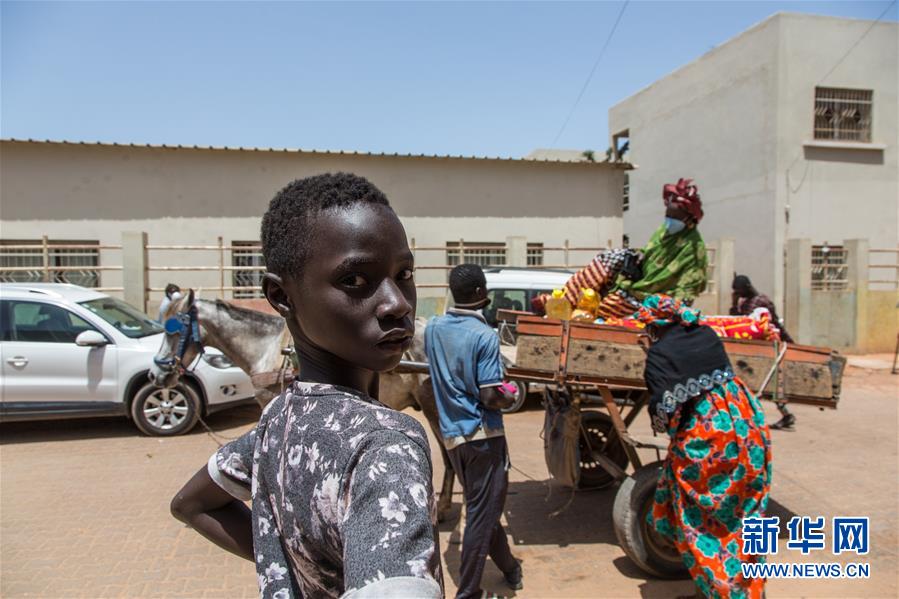 （国际疫情）（5）塞内加尔向受疫情影响的低收入家庭分发生活物资