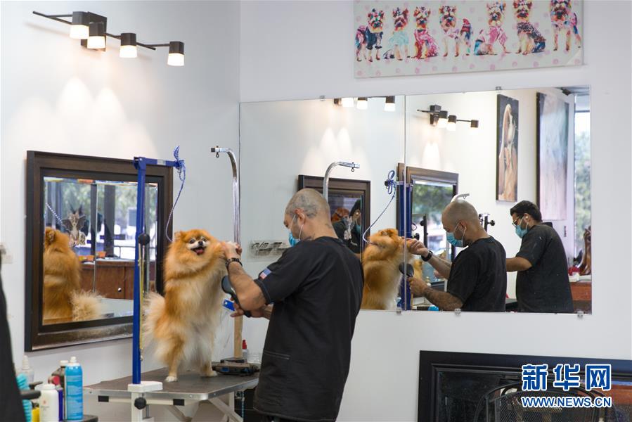 （国际）（4）美国得克萨斯州逐步复工