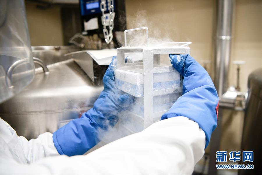 （国际疫情&middot;新华视界）（2）西班牙：实验室人员对病毒样本进行研究